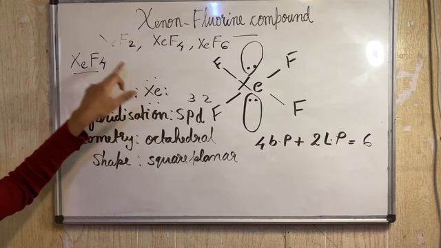 Compounds Of Nobles Gases P block Elements Class 12 Chemistry/Xenon Flourine & Oxygen compounds смотреть онлайн