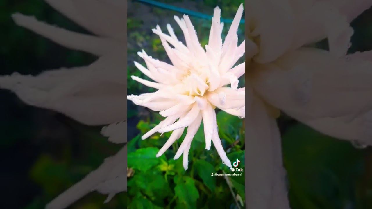 Осеннее настроение