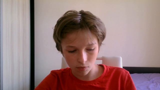 Конец. История сервера и почему он закрылся? (Ps. Сервер снова открыт.) (Pps. Сервер снова закрыт.) смотреть онлайн