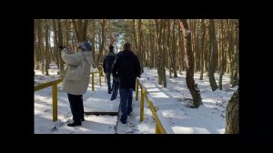 Светлогорск - Куршская коса. 06.03.2021 г.