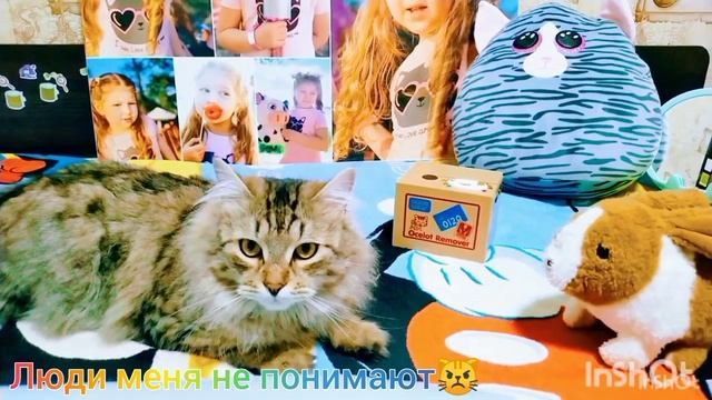 Люди меня не понимают 😾: МЯЯЯУ, МУР