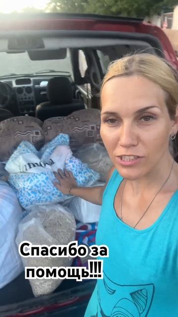Забрала ваши заказы в Вб и Озон #приютнекрасовка #собака #помощь #собакавдобрыерукимосква #собаки