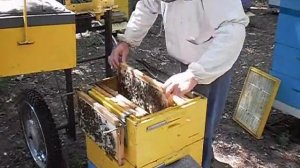 Удалитель пчел1