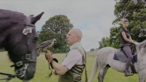 Соколиная и ястребиная охота