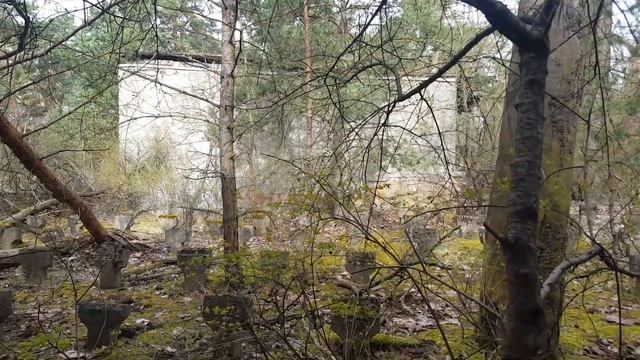 ГСВГ. Forst Zinna. Летний кинотеатр, гауптвахта что рядом и др. 31.03.2024 смотреть онлайн