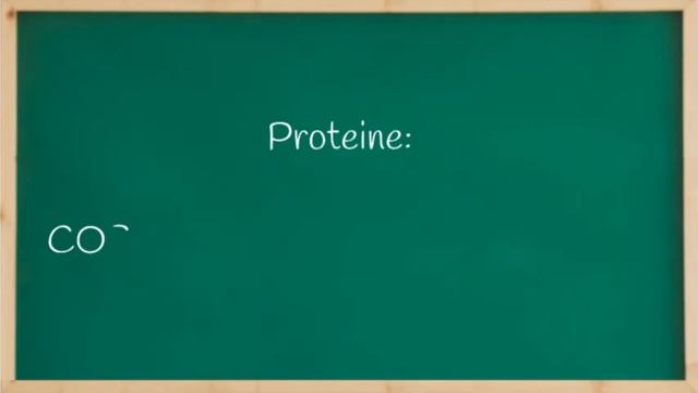 SSB 15 - Alimentazione: che cos'è il cibo? Mangia per vivere [Scuola della Salute Biblica]
