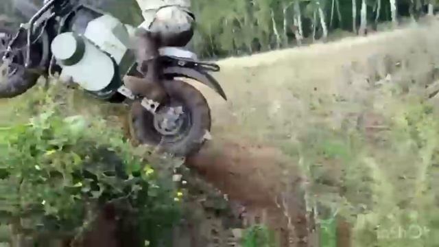 Инклюзивная агроусадьба Попово