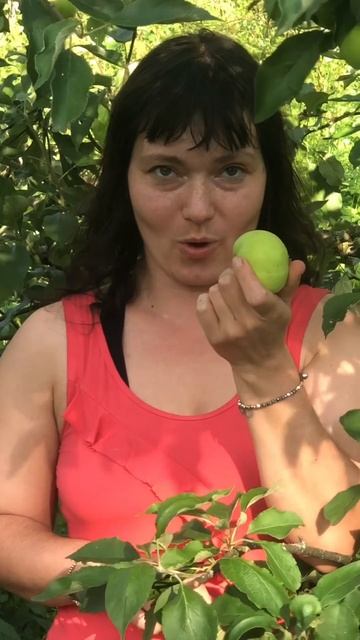 Басина Мария Викторовна - репетитор по китайскому языку - видеопрезентация для Repetit.ru