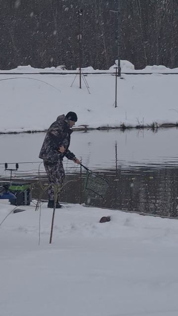 Форель смотреть онлайн