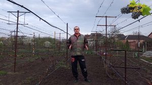 посадить и не навредить 🍇