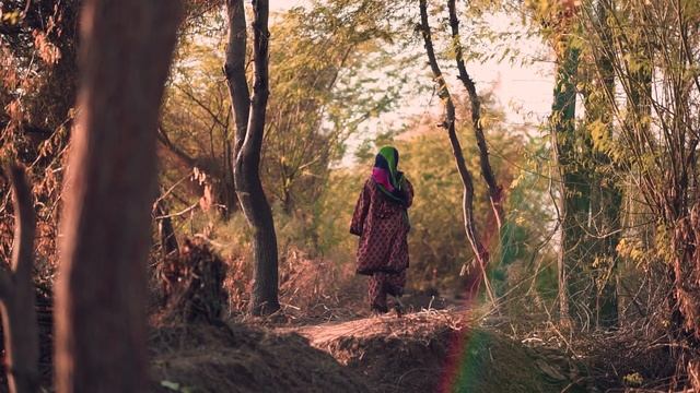 15362277-hd_1920_1080_30fps