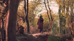 15362277-hd_1920_1080_30fps