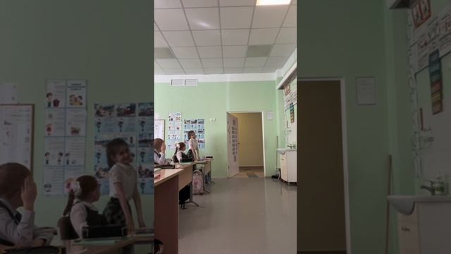 окружающий почему мы любим кошек и собак?