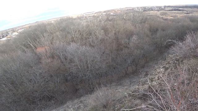 Крещенская прогулка с собаками. смотреть онлайн