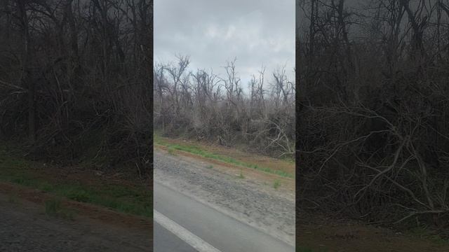 Видео N 95