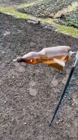 Уникальное средство по отпугиванию птиц на даче