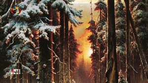 Клевер Юлий. Зимний закат в еловом лесу.