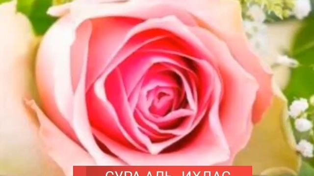 Сура АЛЬ -ИХЛАС