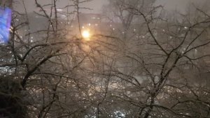 что у меня за окном?, 2 часть.
