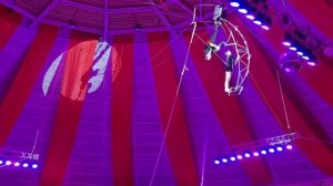 Анатолий Собачко:
Артист-гимнаст