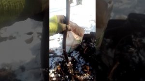 что нам снег, что нам дождь когда металл идёт ко мне