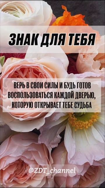 Знак Для Тебя ⚠️ Во Благо 🫴🏻✨ #картадня #знакдлятебя❤️ #послание2024 #посланиеотвселенной