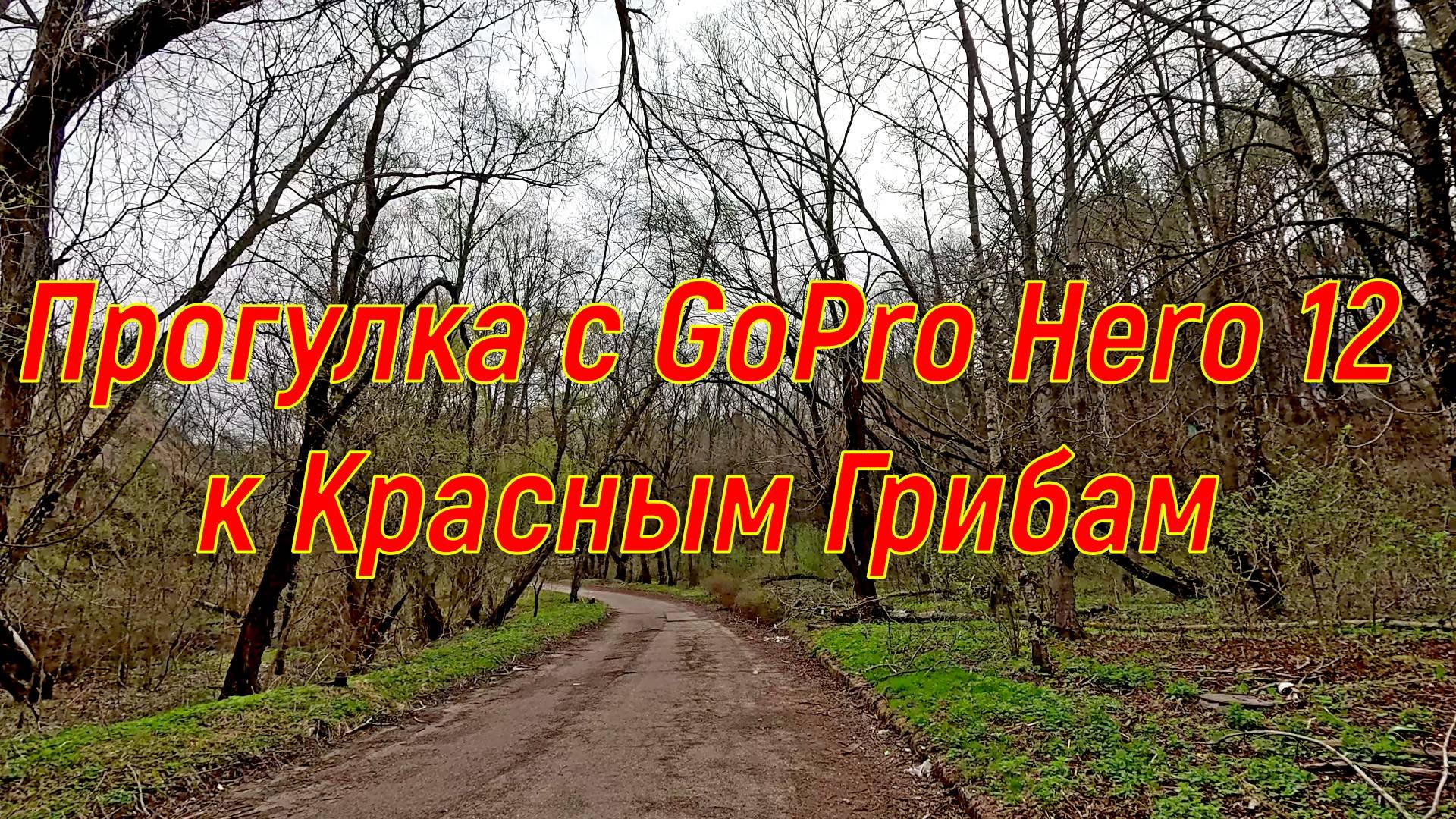 Прогулка с GoPro Hero 12 к Красным Грибам