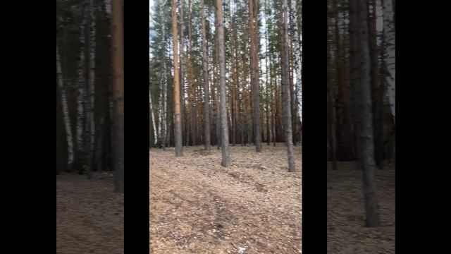 ЭкоАлександр