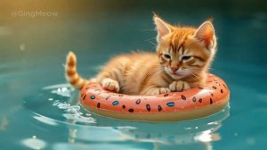 Tiny Cat's Aqua Park Splash Day! _ #cat #kitten #cute #gingmeow