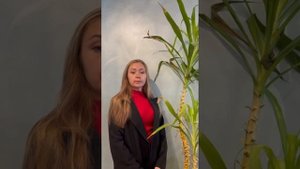 Кто имеет право на АЛИМЕНТЫ