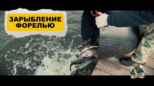 Зарыбление форелью 11.04.2025 г.