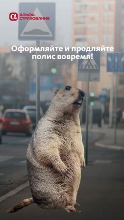 Желаем вам быть аккуратными на дороге и обходиться без штрафов