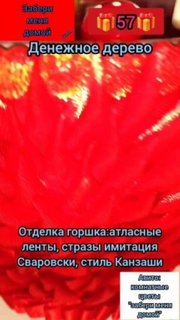 денежное дерево