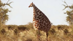 ЖИВОТНЫЕ МЕМЫ