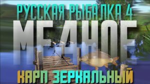 Карп Зеркальный. Медное. РР4