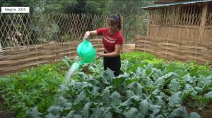 Дорис 5. Дорис поливает огород, кормит буйволов и издалека протягивает шланг, чтобы на участке была