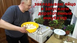 Доработал инкубатор, заложил яйцо, Но все равно случится же какая-то беда!