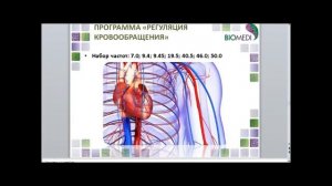 ▼Профилактика и Лечение Сердечно Сосудистой Системы▼