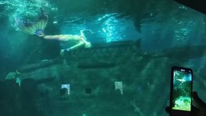 Русалки существуют! 😮