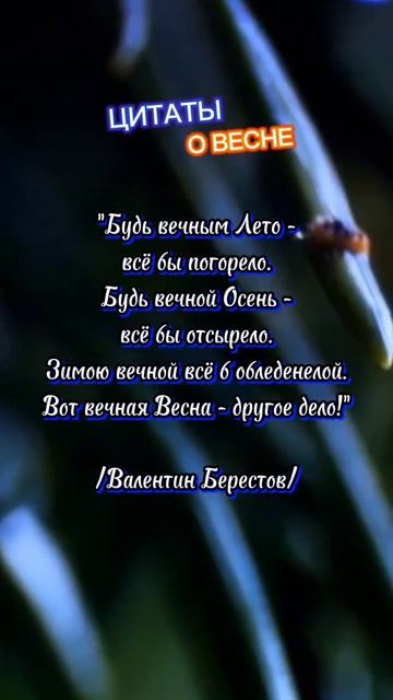 Цитаты о Весне. #5 Валентин Берестов о Весне. #весна #цитаты #пробуждение #народноетворчество
