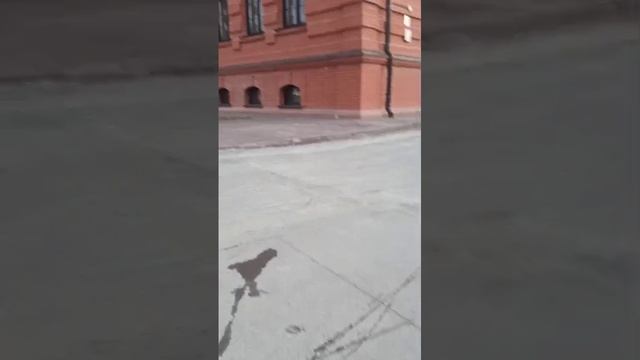 Гонки на время