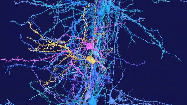 Neon Neurons смотреть онлайн
