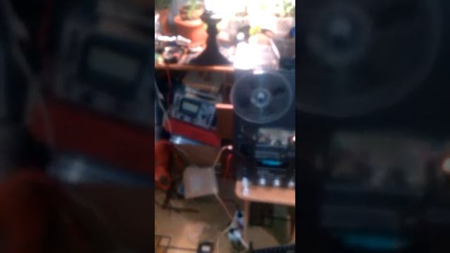 25 декабря 2015 г. смотреть онлайн