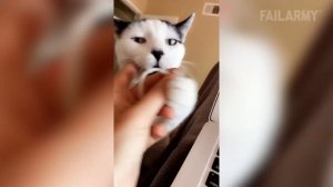 FailArmy (перезалив с youtube).  I'm So Tired of Struggling