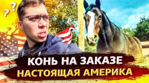 Кони посреди Лос-Анджелеса / Особенности Электрокара / Tesla Model 3