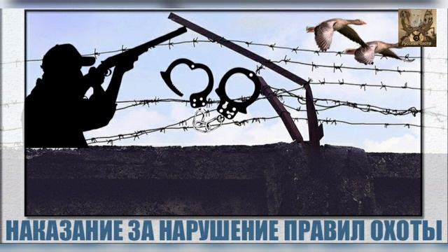 Штрафы и наказания за незаконную охоту смотреть онлайн