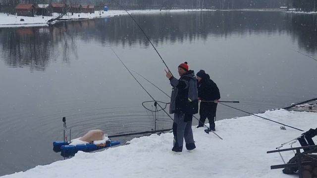 Две форели одновременно смотреть онлайн