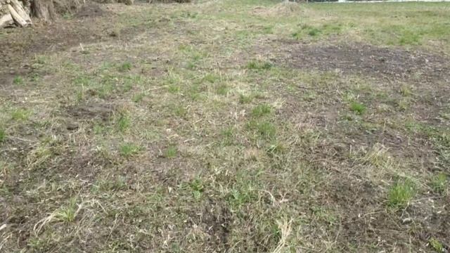Работы по благоустройству в Альшани
