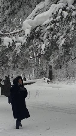 Зимнее Подмосковье