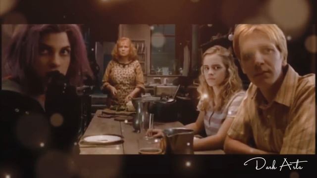 Remus & Tonks | Bill & Fleur | Dusk Till Dawn смотреть онлайн